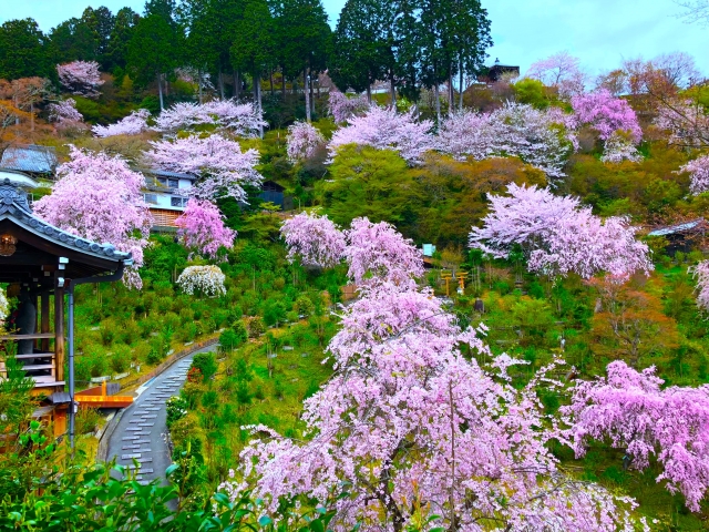 善峯寺の概要